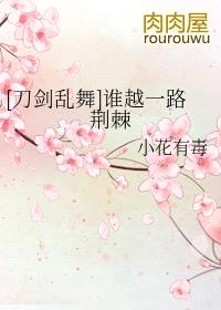 [刀剑乱舞]谁越一路荆棘